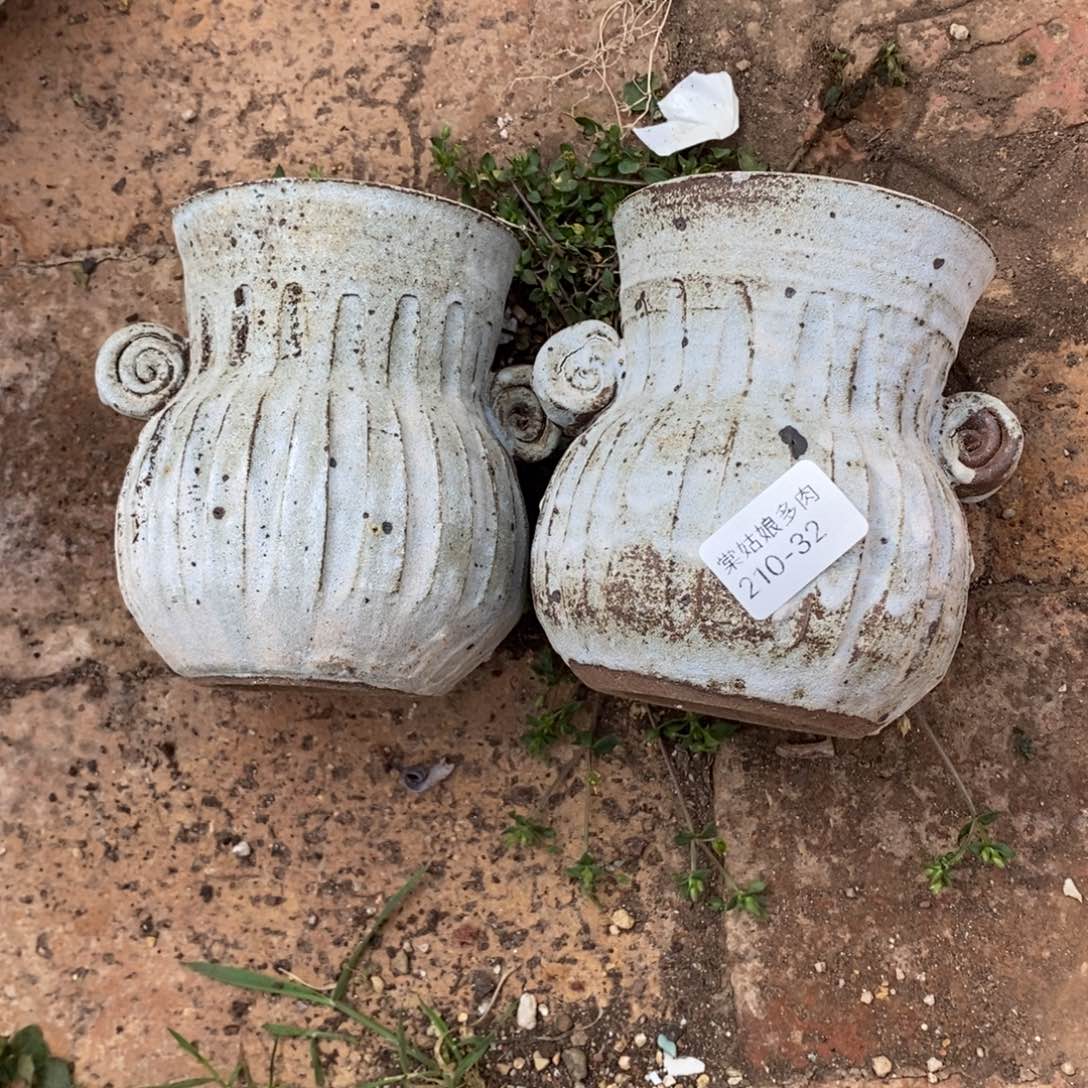 32号两个多肉盆组合