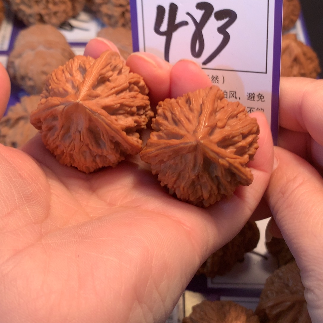 核桃483文山三棱3.7全品