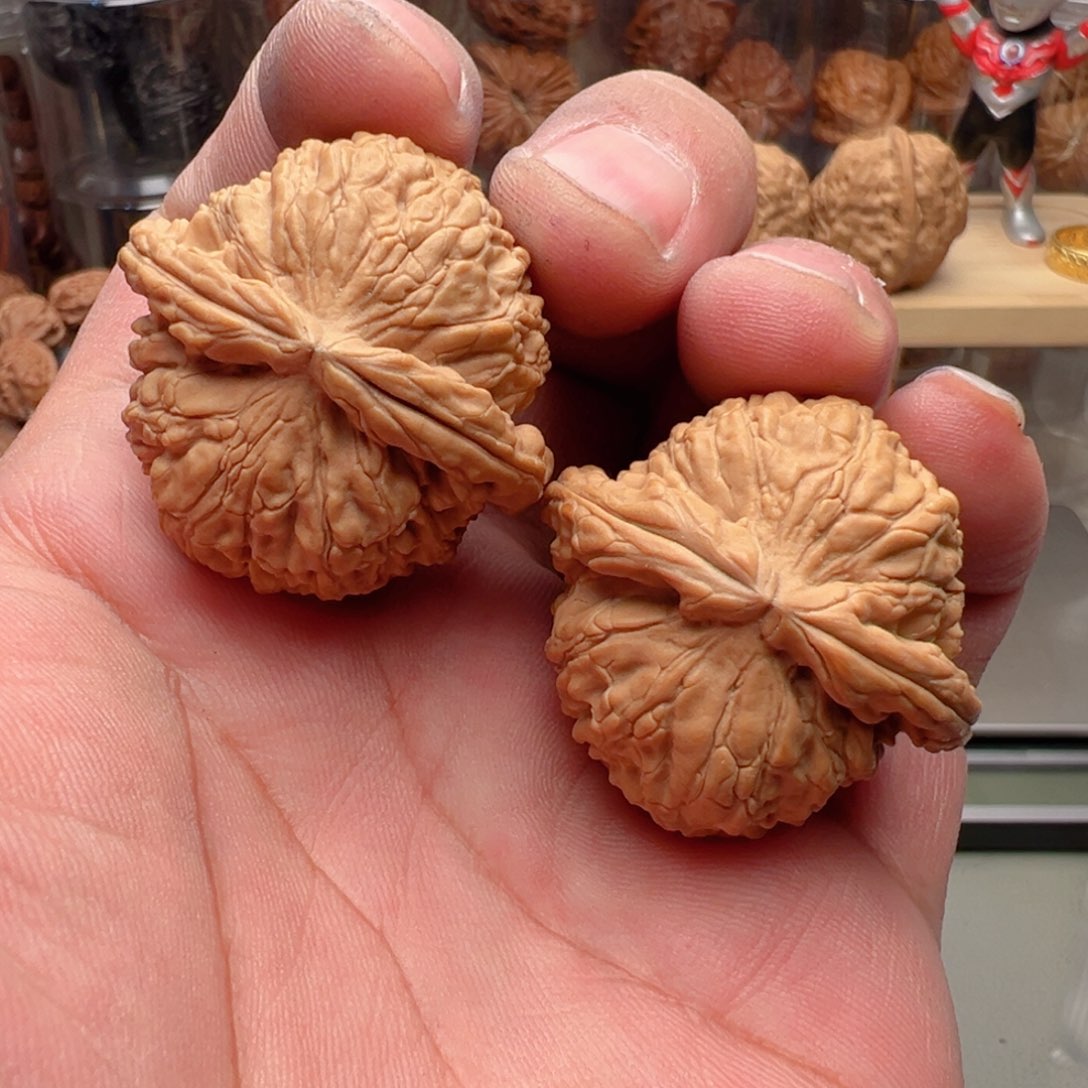 文玩核桃把件38尺全品白狮子