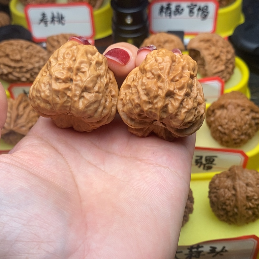 南***寻菩提籽类蛤蟆头头