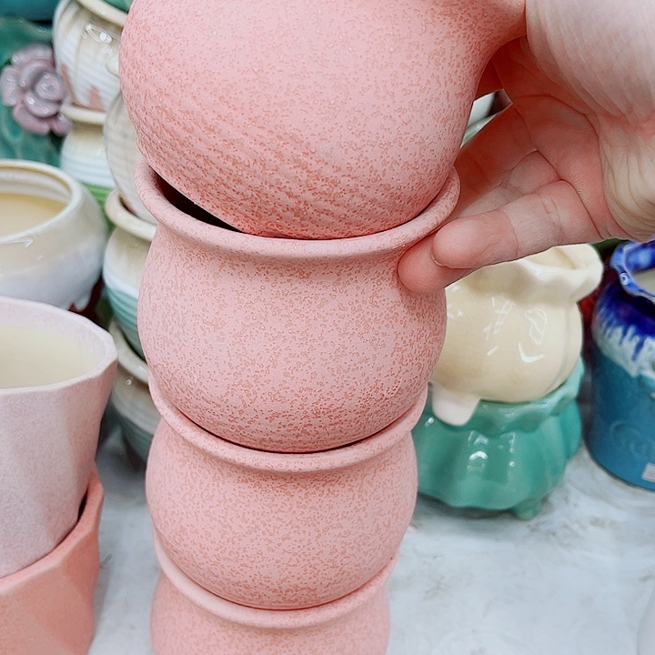 多肉植物陶瓷花盆