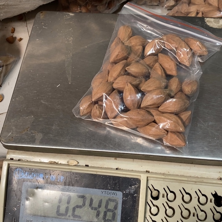 吊坠橄榄核清*橄榄核