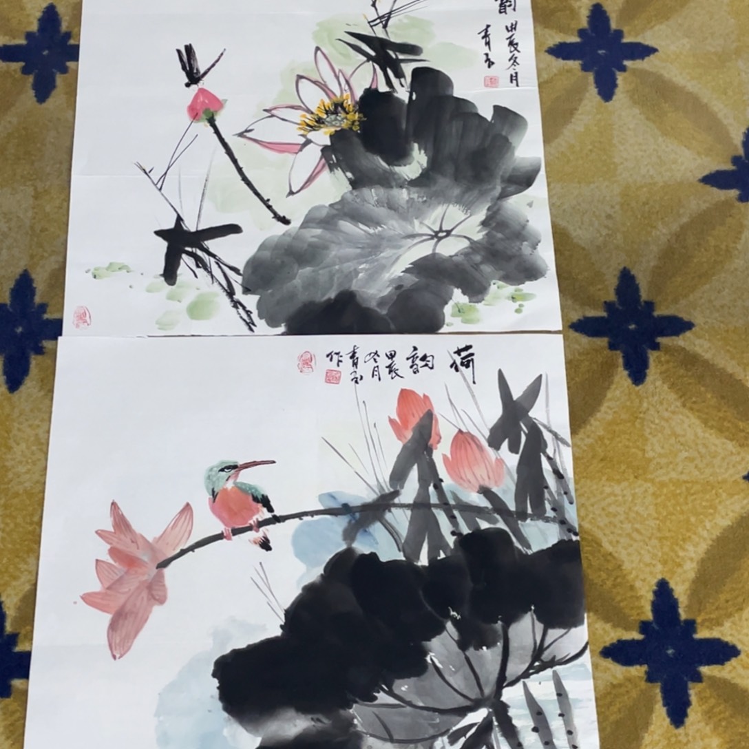 国画50斗方作品花鸟作品11111