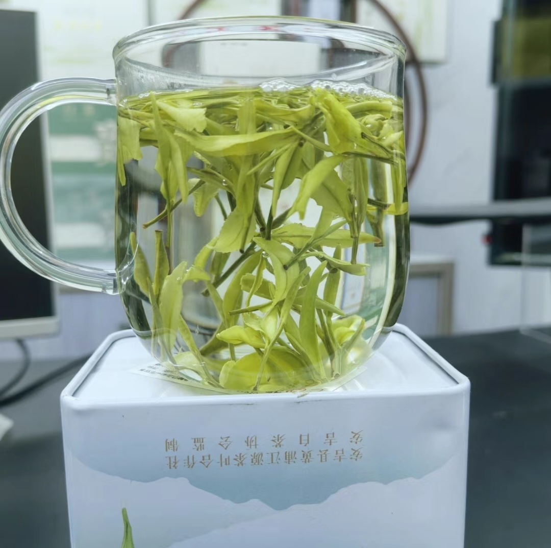 高山白茶金香玉白茶