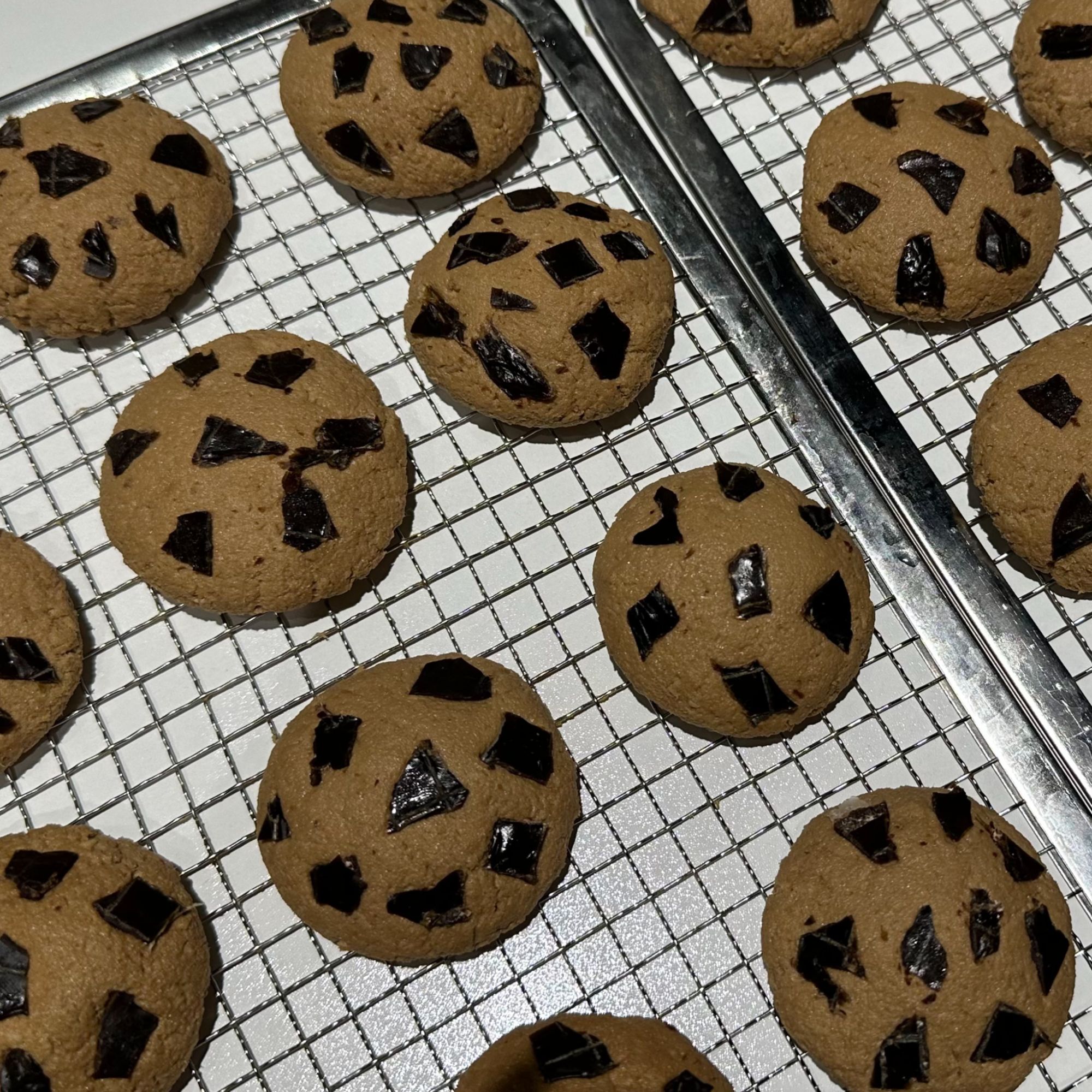 狗狗专用宠物趣多多100g