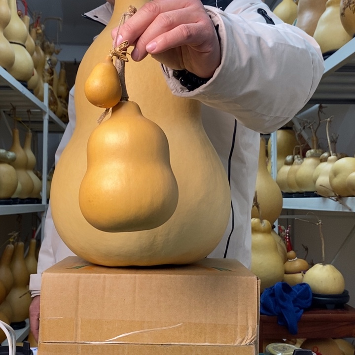 *****葫芦可以拍了啊啊