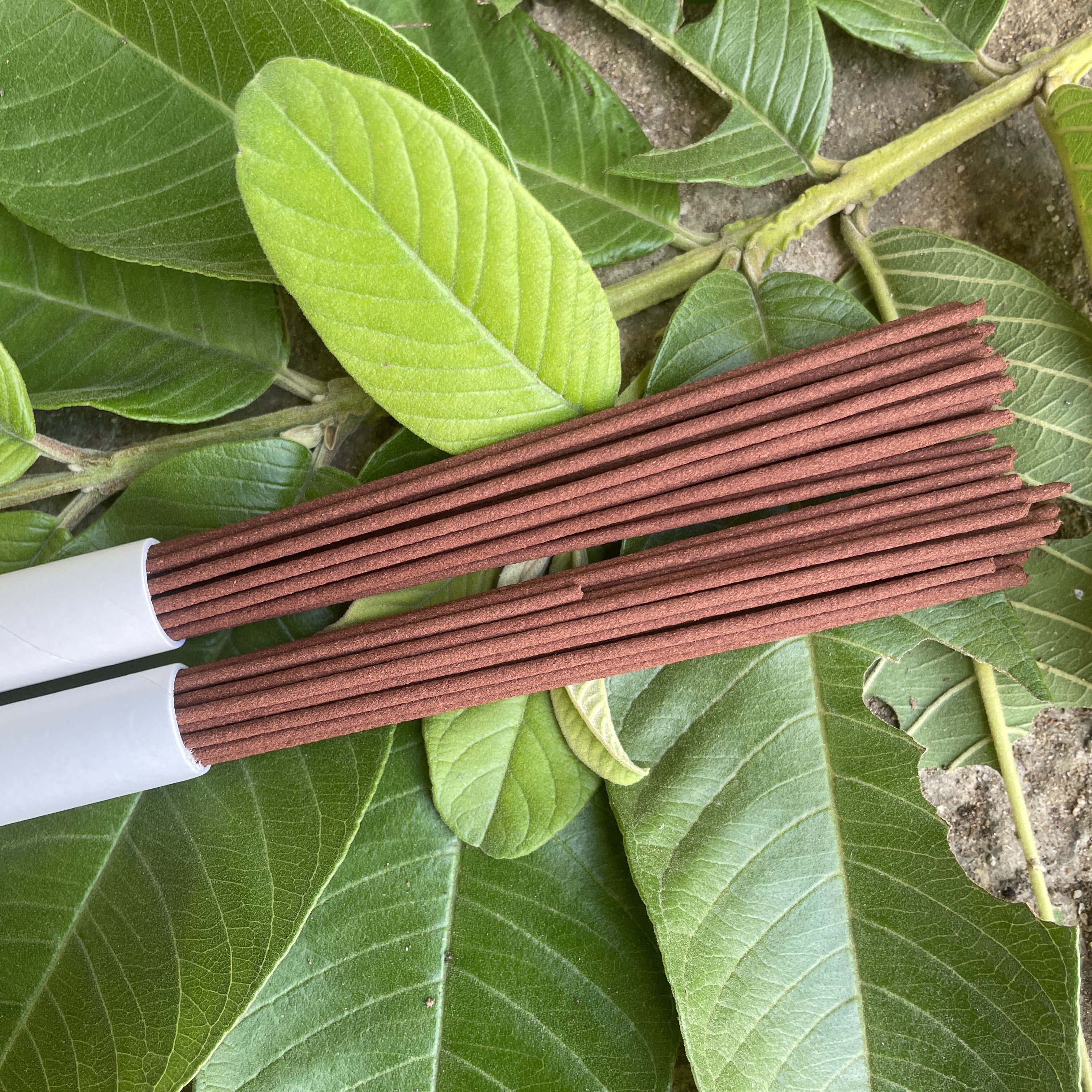 海南黄花梨土埋老料自制线香 清新淡雅降香味 10克一桶