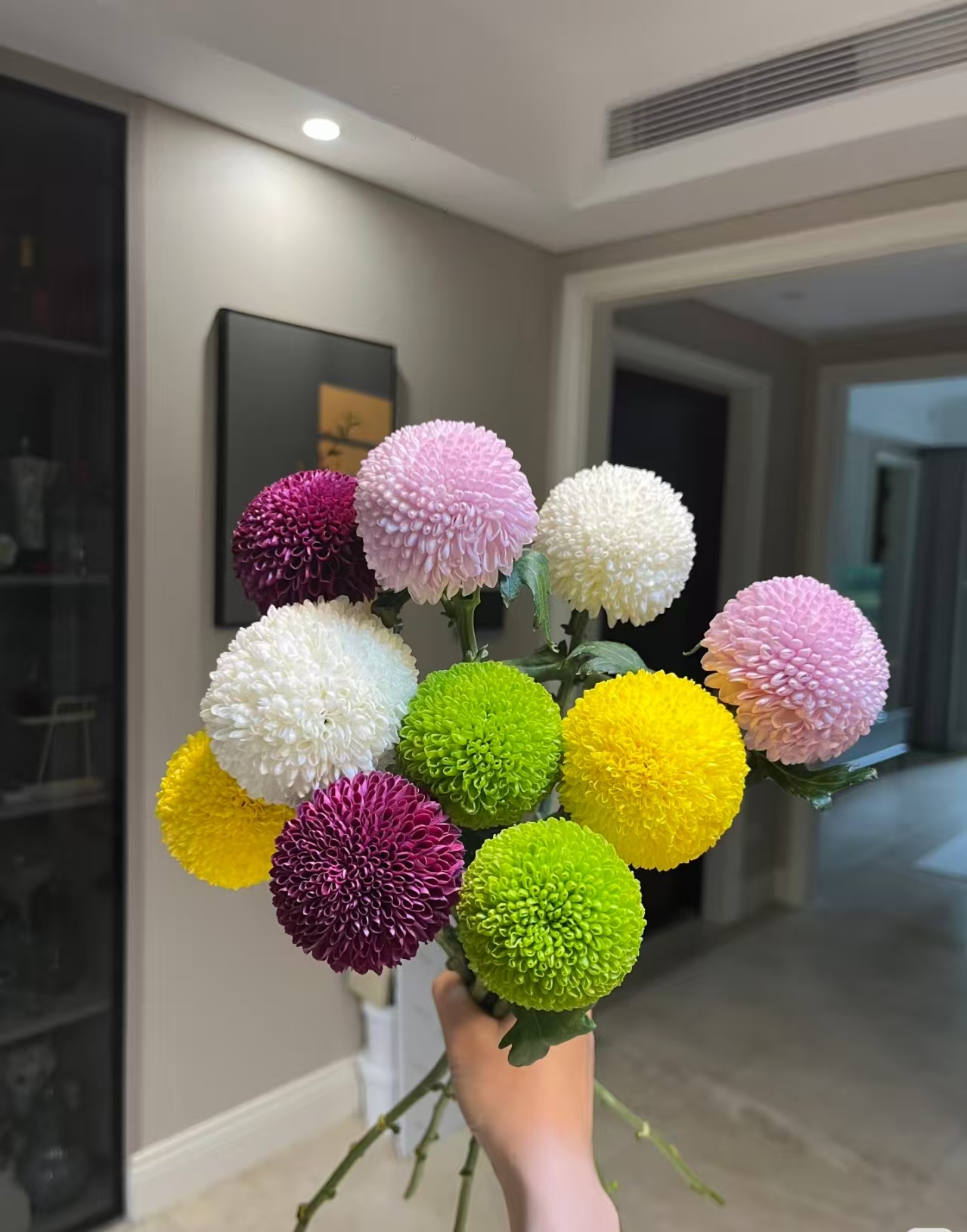 乒乓菊 任意2单发顺丰/德邦 云南鲜花直发