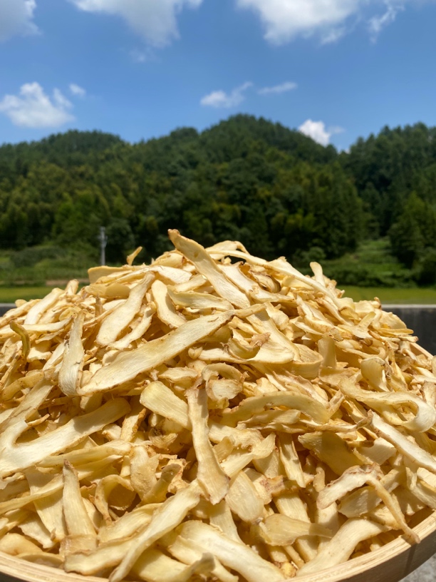 玉竹片湖南邵阳道地产区高糖玉竹片湘玉竹产地直发