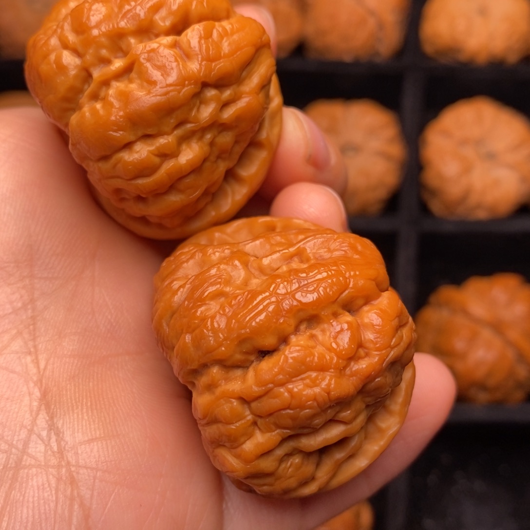 文玩核桃把件秦岭野生核桃