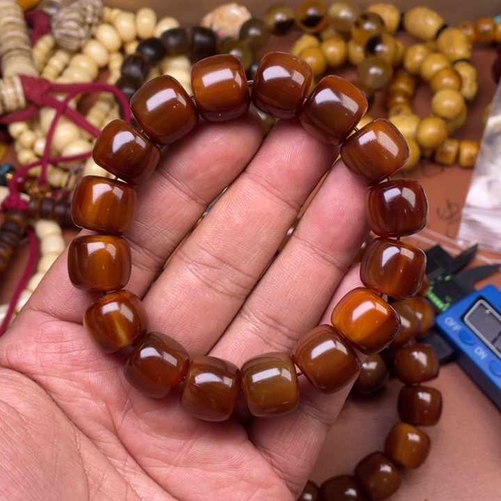 驼骨其他人工养殖