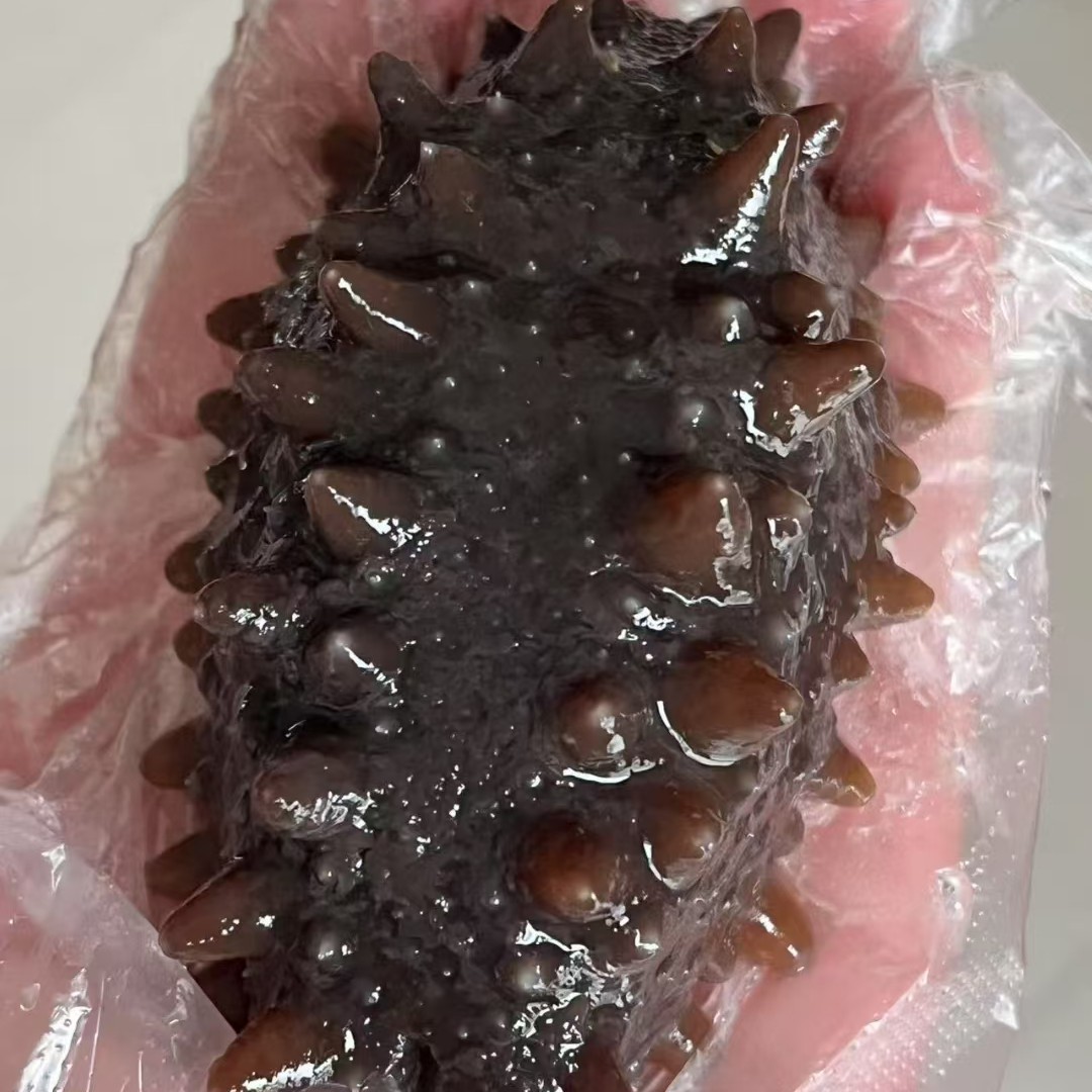三疆迎花：俄罗斯淡干（一百头）二红海参肉质口感