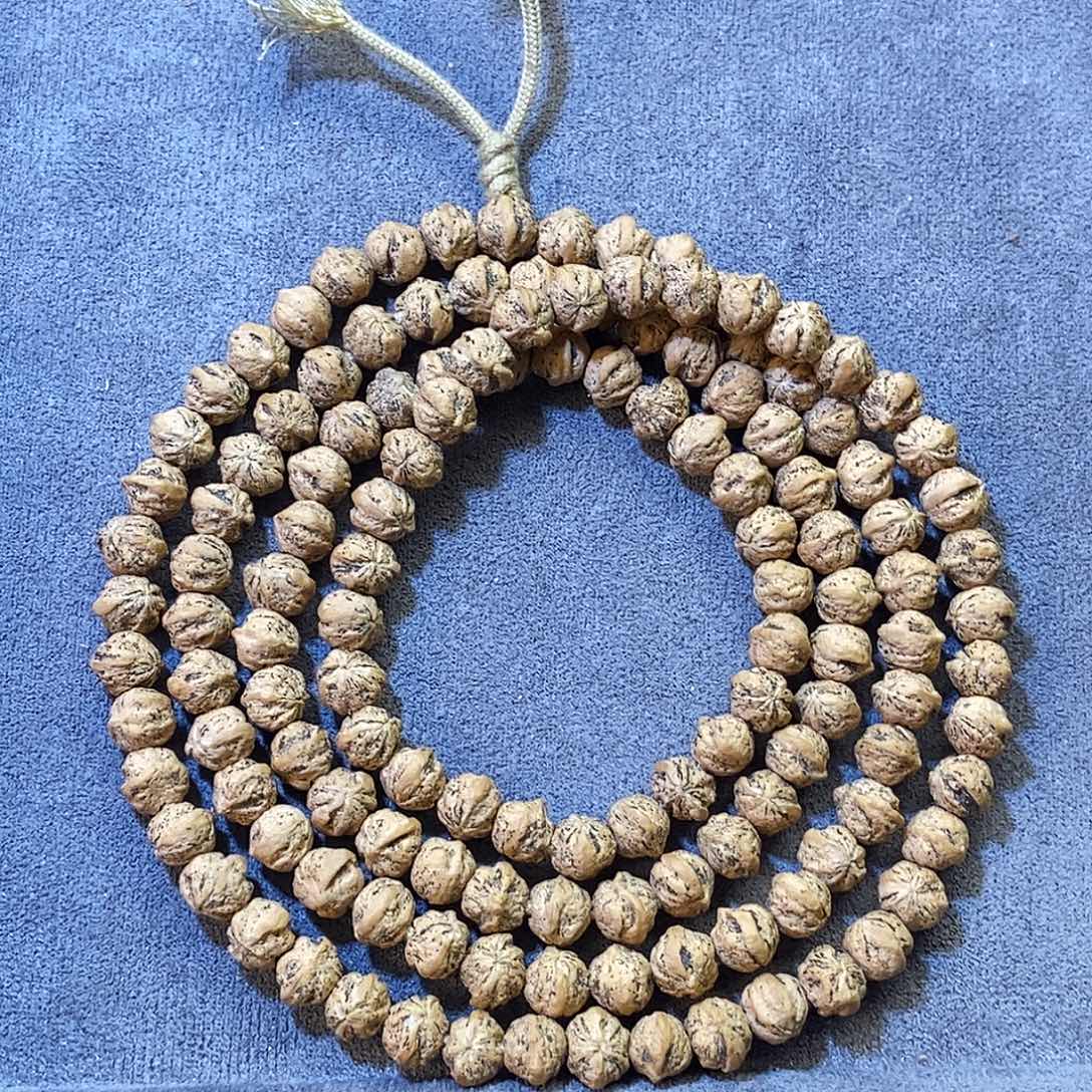 柏香籽/百香籽手串