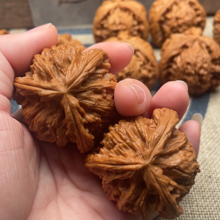 风***景石楠木白狮子44卡45