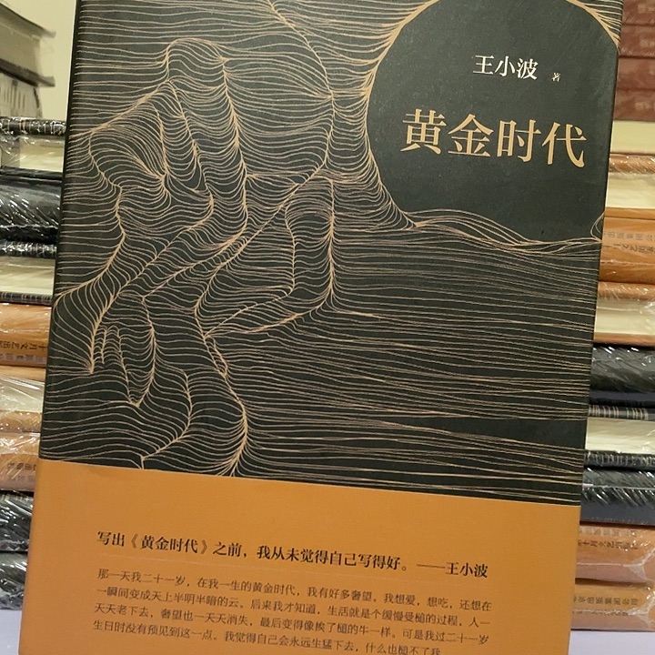 黄金时代 精装带塑封