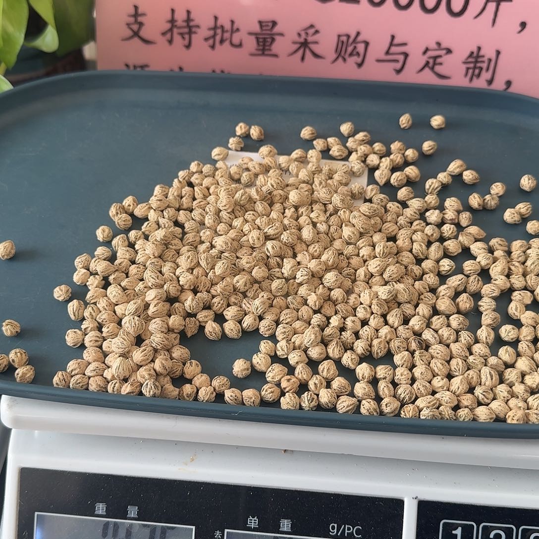 私***）吊坠柏香籽/百香籽7+100克HY001