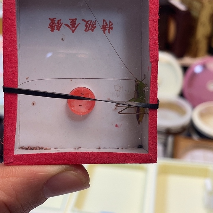 @****补差价5啊啊啊啊啊
