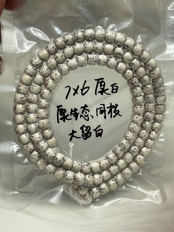 海南原生态顺白同枝河豚长链大留白小细星高油高密易变色