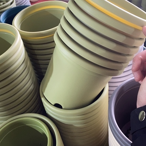 树脂四季2号12个果绿无托