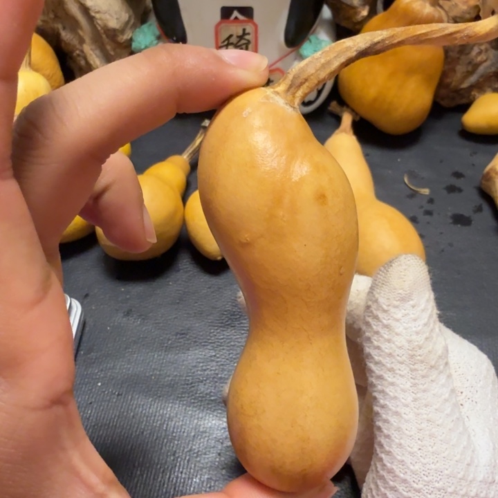 @***二风烈6666666666666