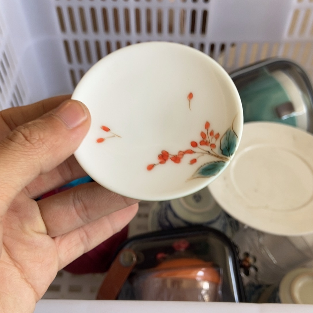 杯直播链接直播链接