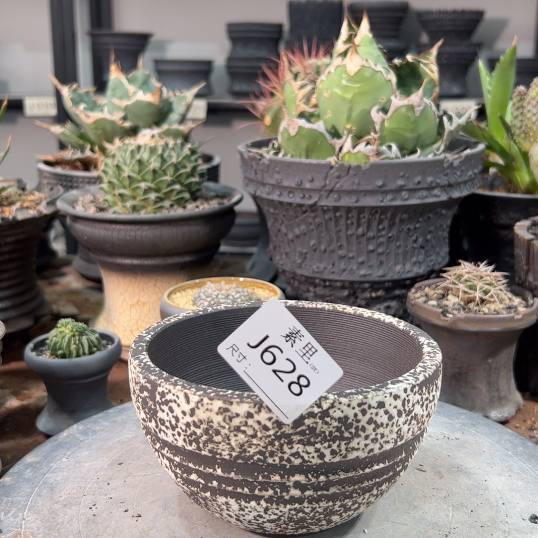 景德镇手工素里内口12.5高8