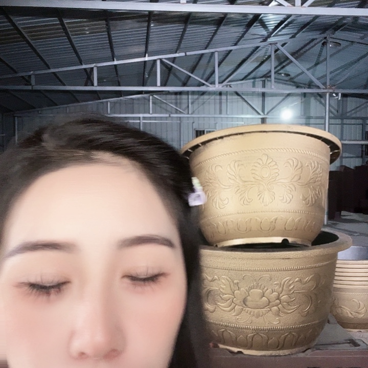 圆50口径花盆两个