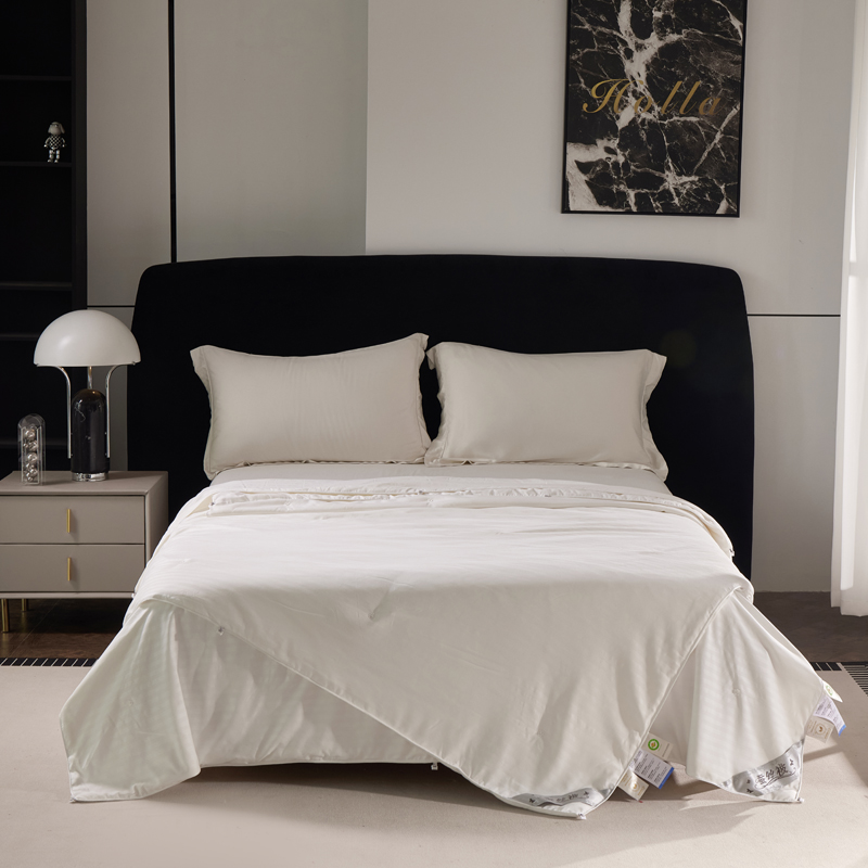 【桑英专属】【三晟SanSheng】轻奢提花蚕丝子母被