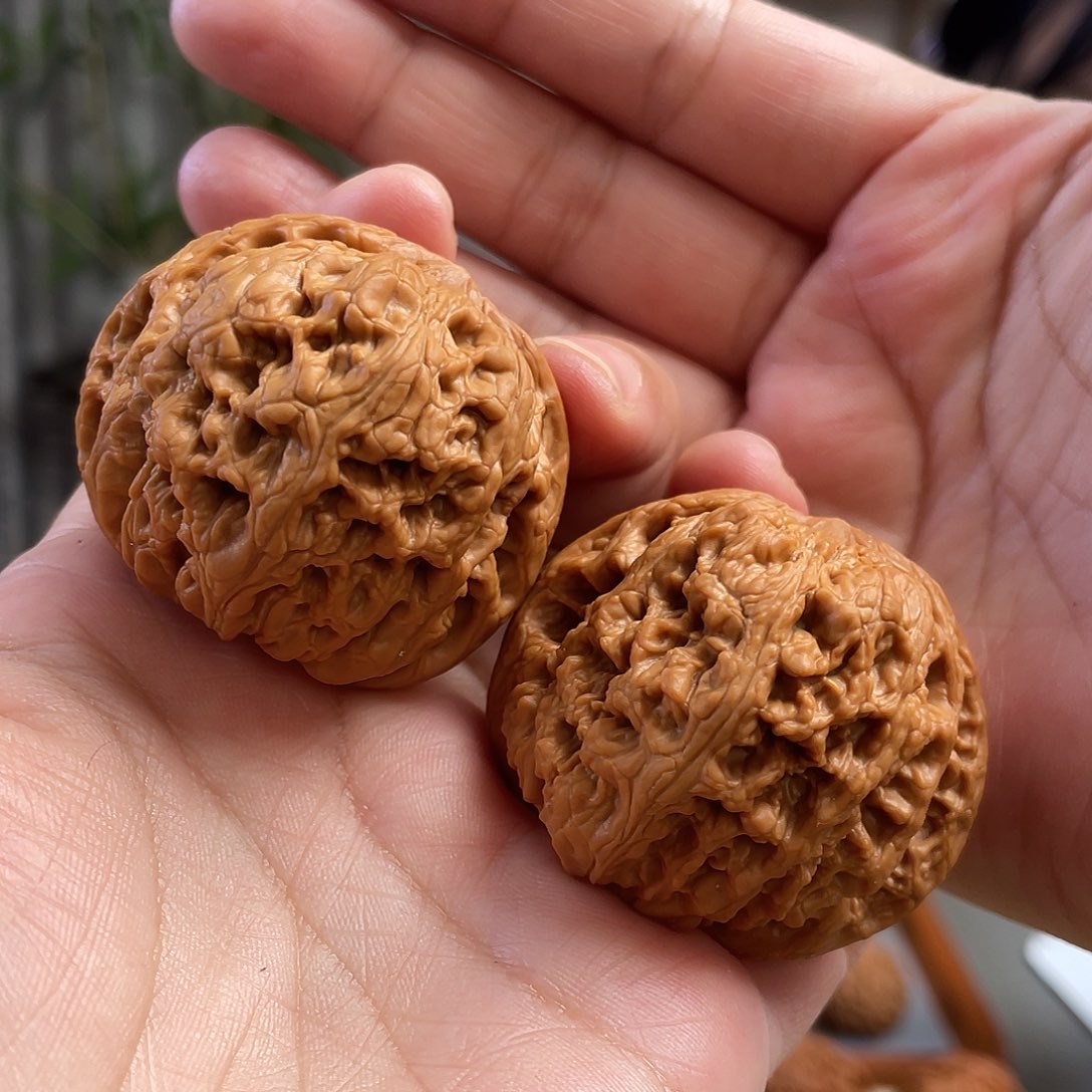 桃核把件46×45尺全品将军狮子头CN0927已打底