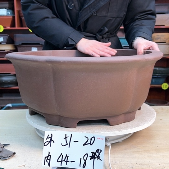 红陶断*离紫砂花盆里放的东西
