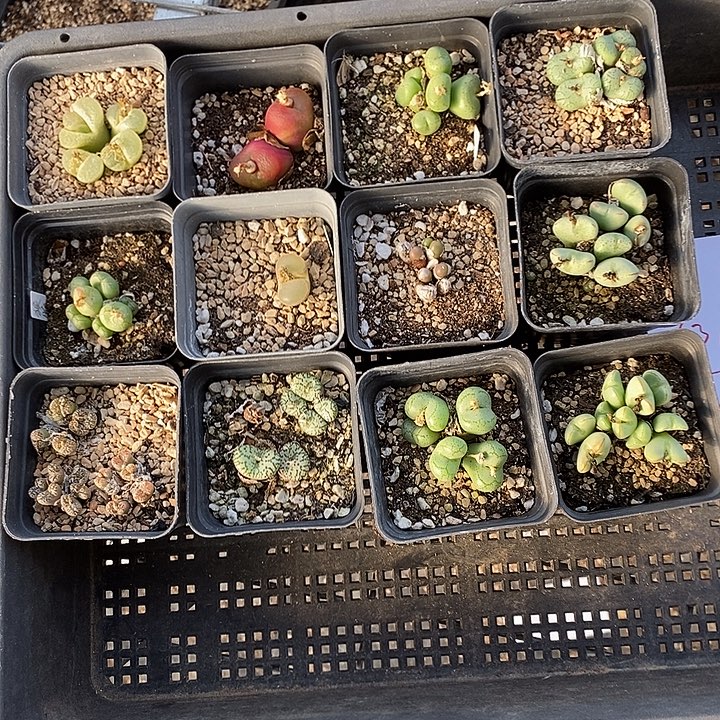 636组合福利一组。       