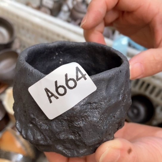 福利福利活动来了啊