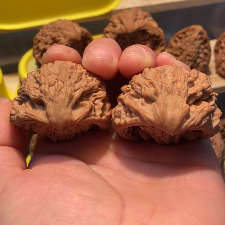 M*文玩核桃蛇头核桃