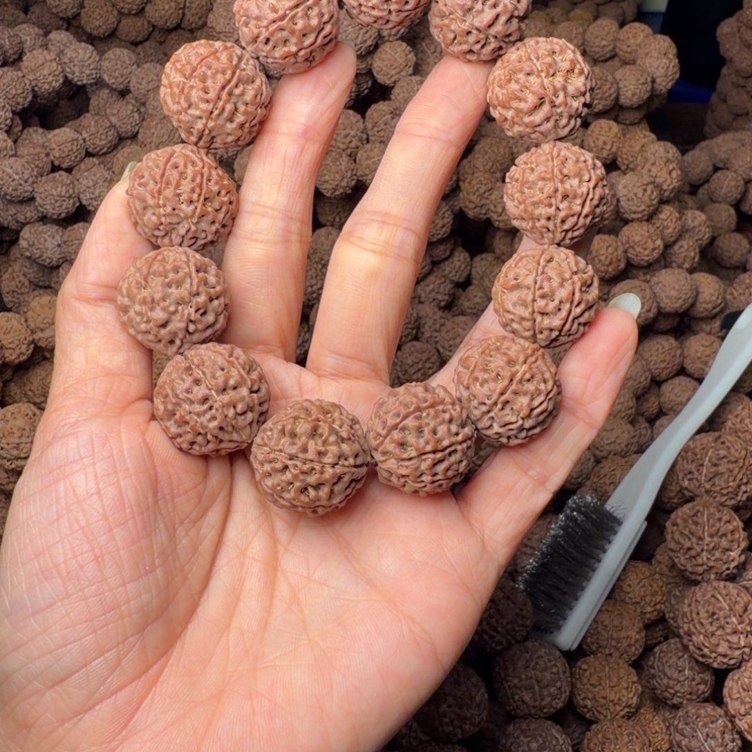 金刚菩提手串8瓣卡21尺，59号