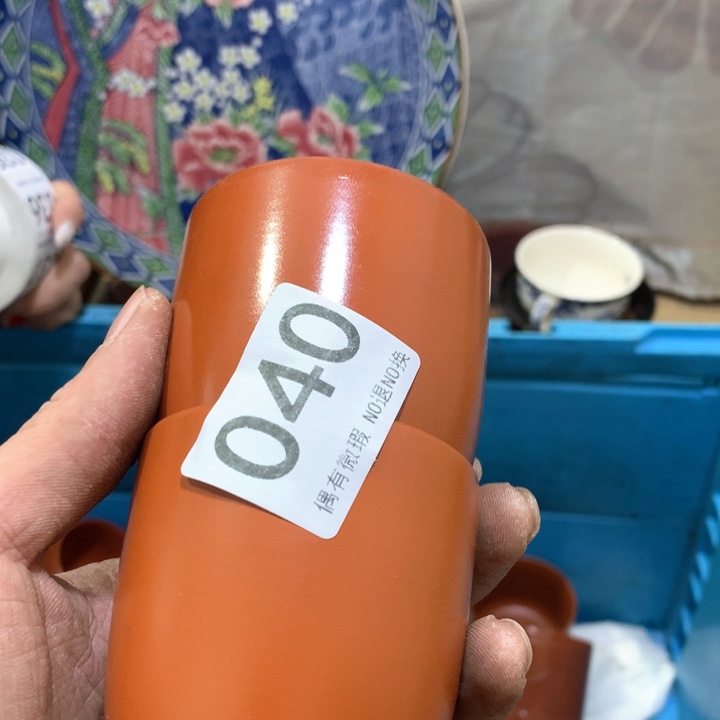 盘西**马你也不要多吃一颗甜菜呀小女孩也