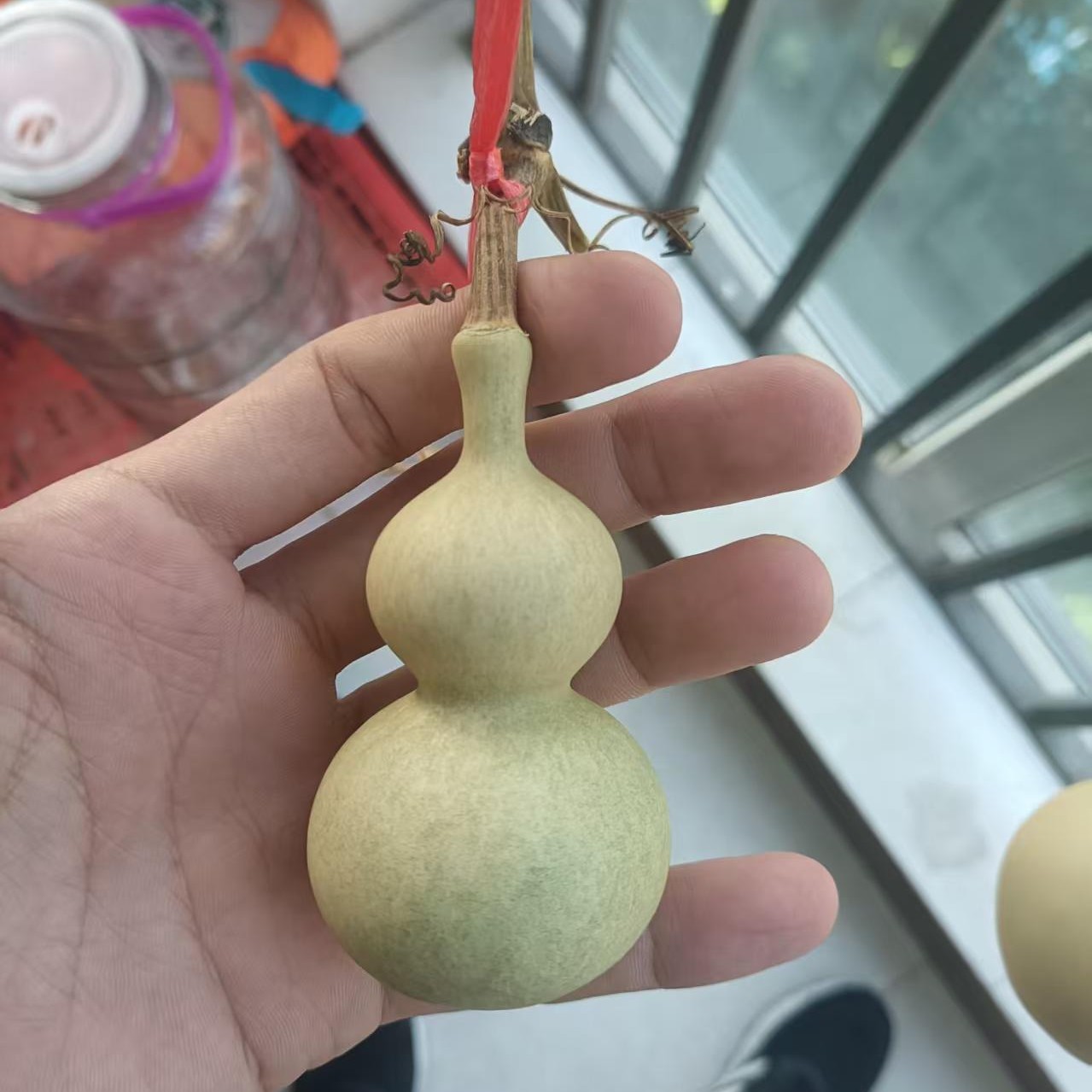 （直播间选品链接）葫芦工艺品天然葫芦此图片非拍品