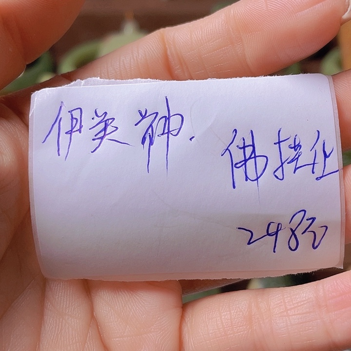 未镶嵌岫岩河磨玉（透闪石质玉）挂件伊*神