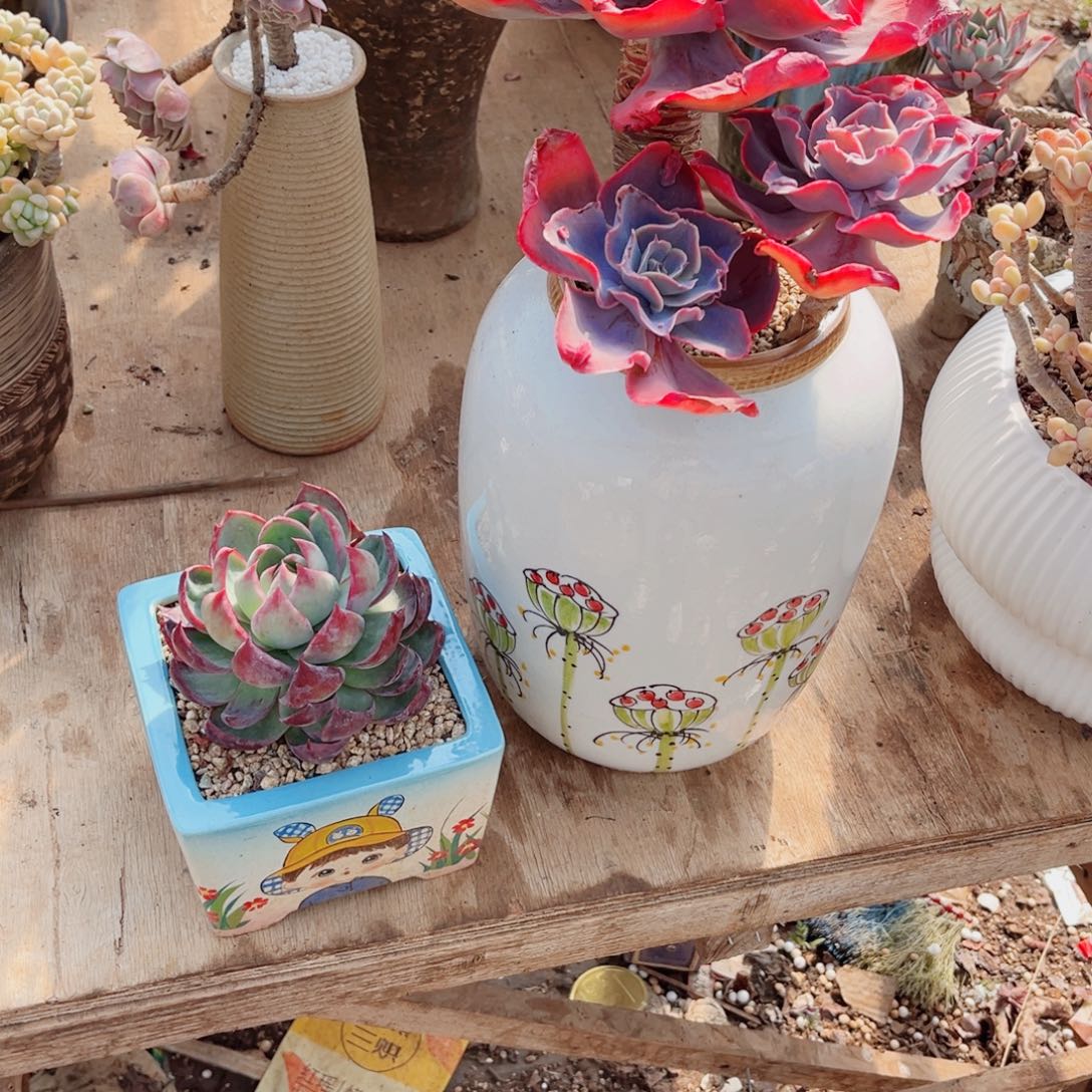 这么多年了．．．你是什的呢是