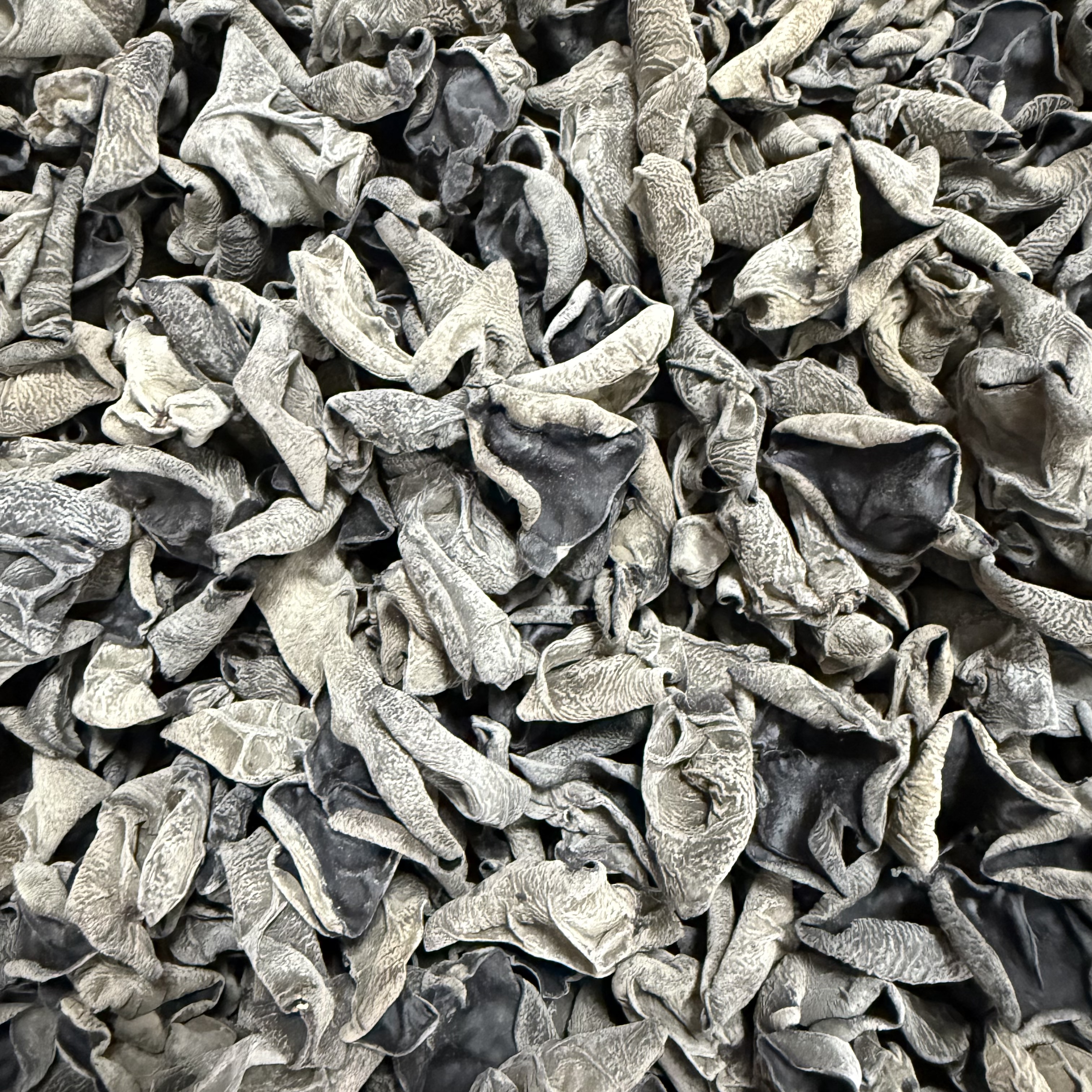 黑木耳250g 老乡自采干货