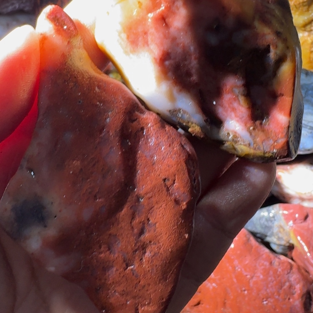 石***店寿山石@88988998999