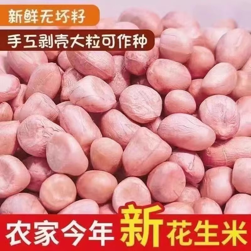 24年花生自然晾晒新鲜大粒无壳花生仁煲汤榨油打高蛋白低脂家庭装