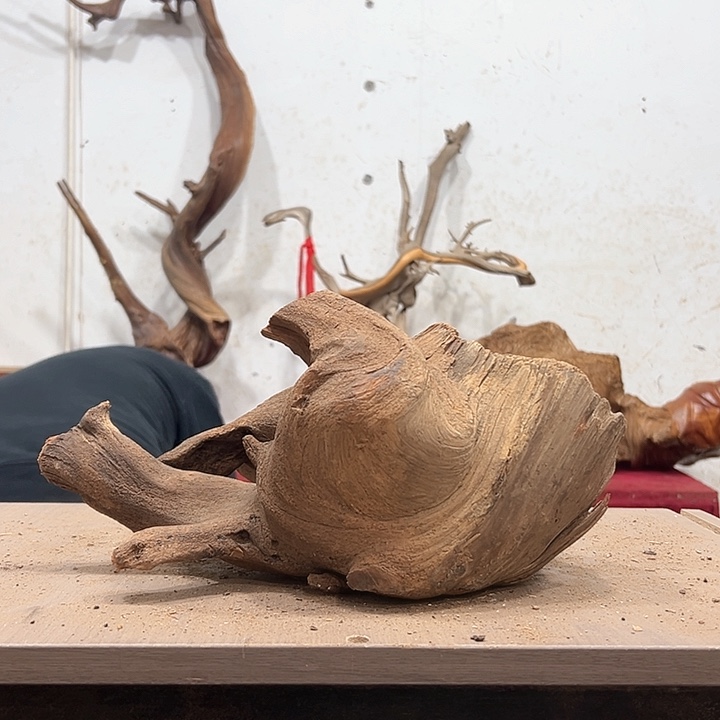 柏木正**动我们都是好孩子呀我也