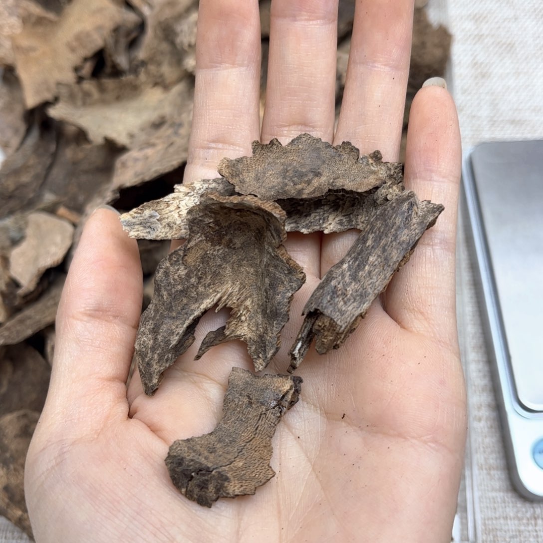 香榧木海南包头碎料5克