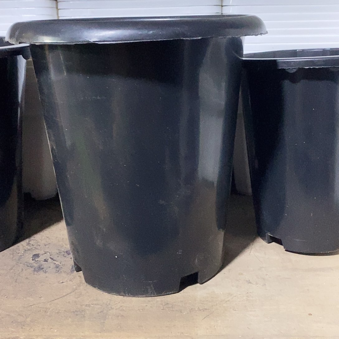 塑料新20公分黑兰花盆5个 