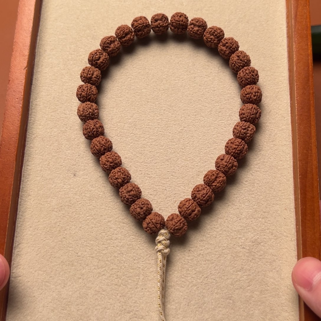 止***。菩提籽类99999999999