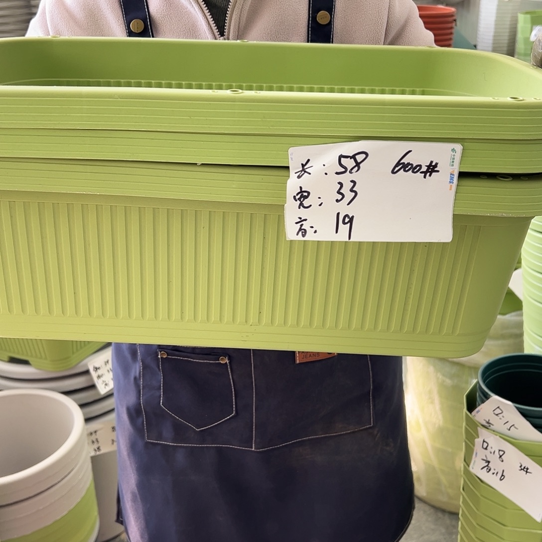 菜盆600#果绿色3个无托
