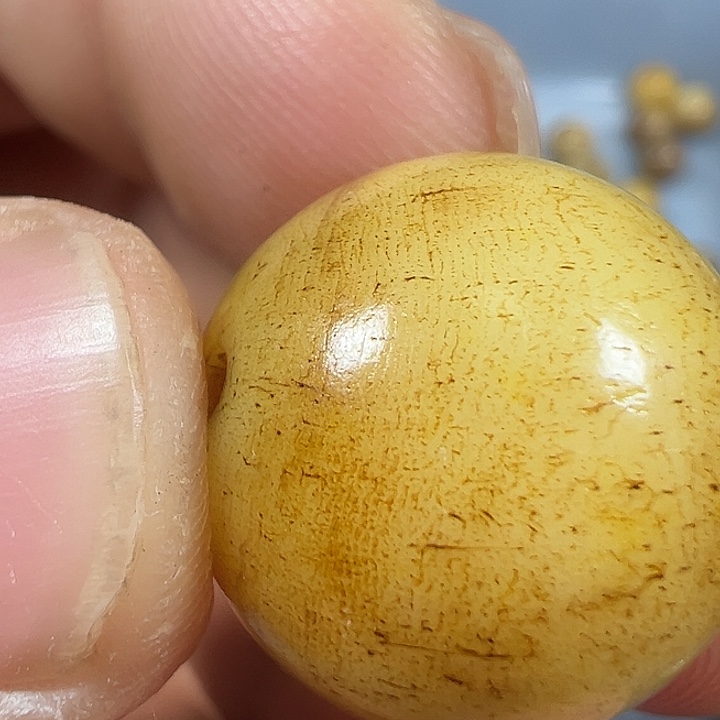 香榧木缅甸花梨大果紫檀002