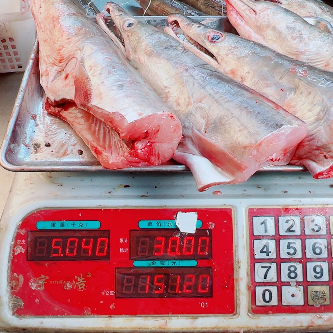 中国大陆四个鳗鱼头