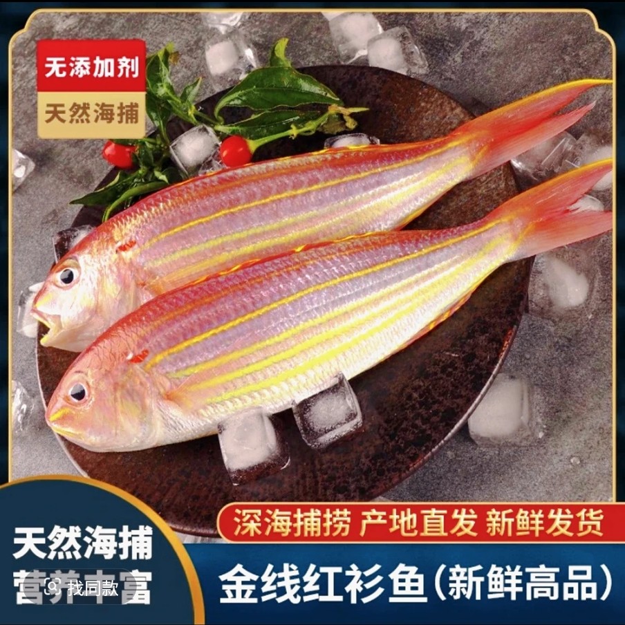 汕尾本港野生 金线鱼  金丝鱼