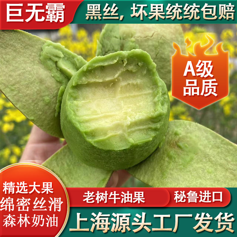 【直播链接-买6送2】牛油果新鲜水果应当季宝宝辅食熟透即食